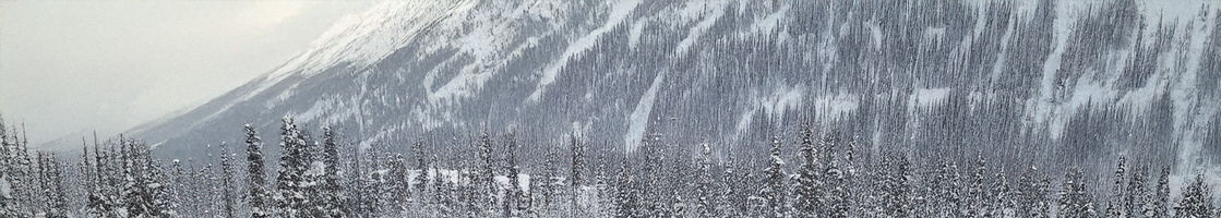 Celeste Image